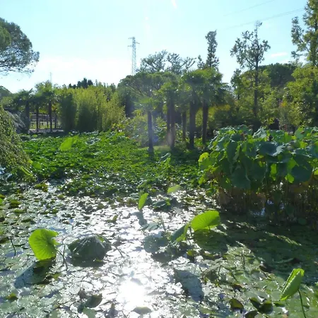 In Lignano 21768 Διαμέρισμα